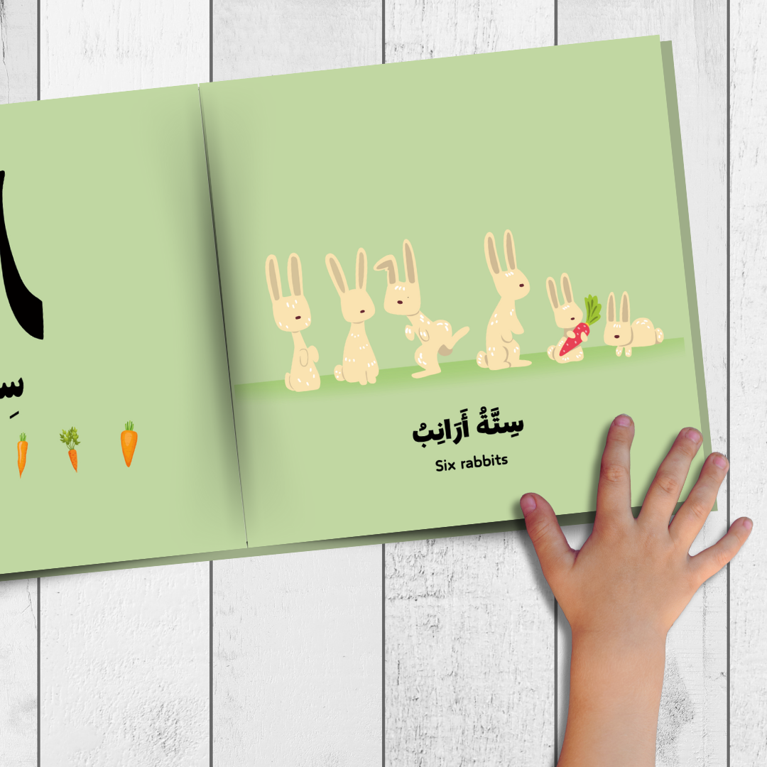 My Animals 123 | حَيْــوَانَــاتِــي ١٢٣ | Arabic & English Counting Book (Easy Early Arabic Readers)