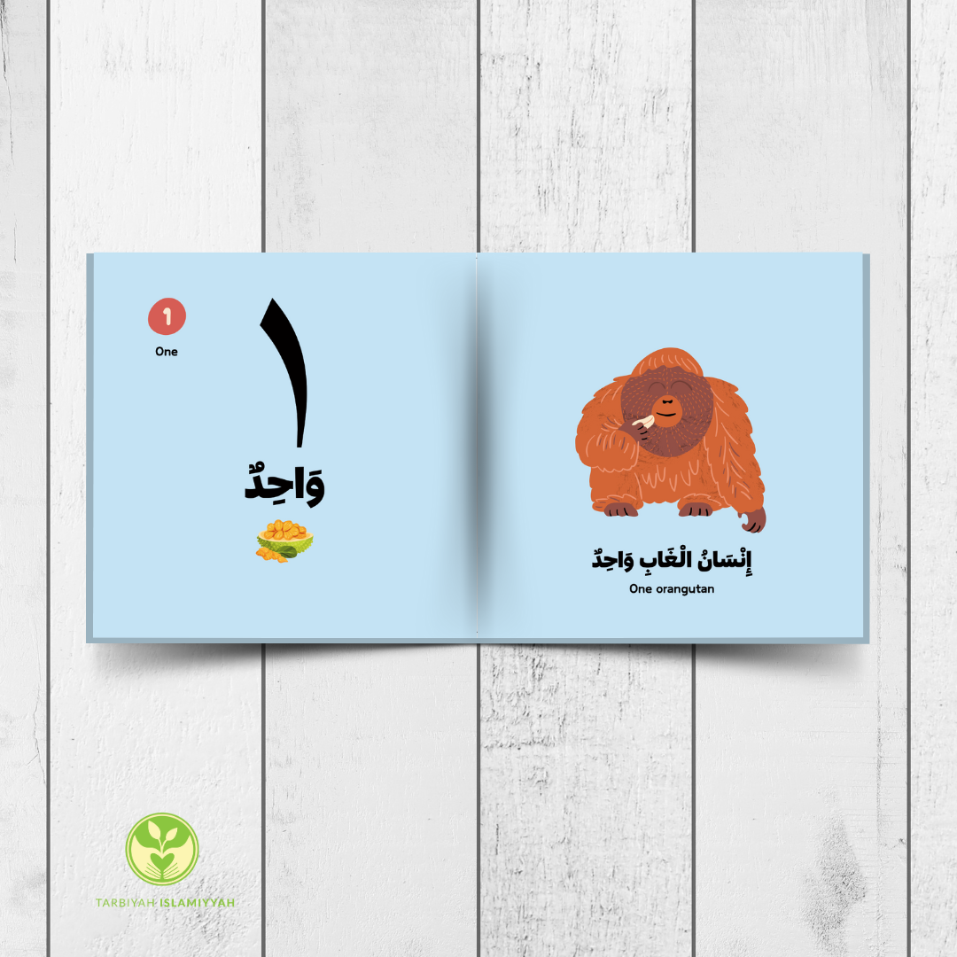 My Animals 123 | حَيْــوَانَــاتِــي ١٢٣ | Arabic & English Counting Book (Easy Early Arabic Readers)