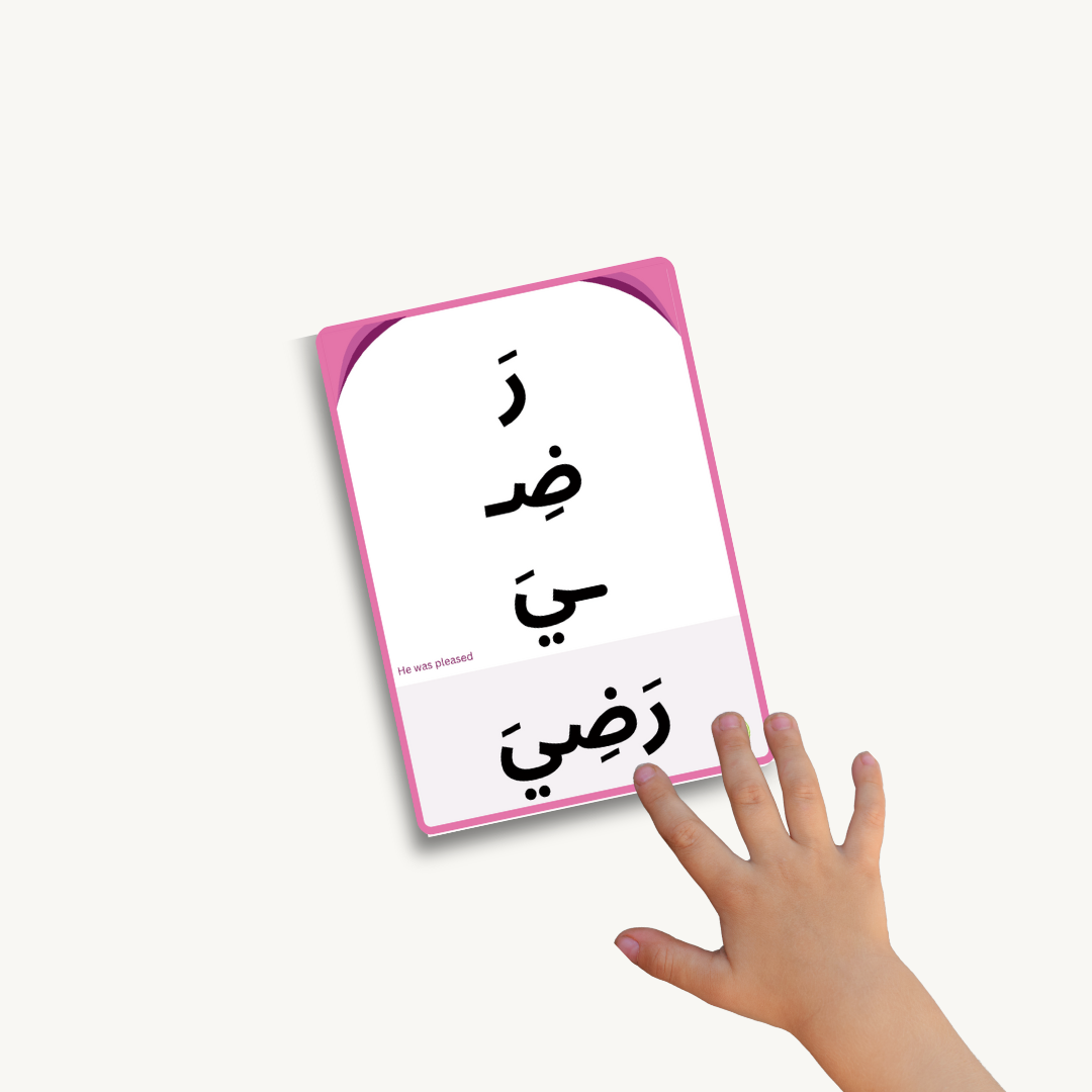 Pink Series Let's Read - Reading Cards